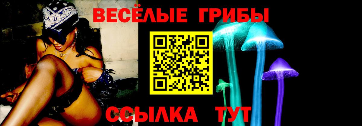 где продают   Псилоцибиновые грибы Psilocybe  Вход с VPN  Старая Купавна 